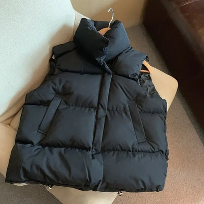 Puffy Vest
