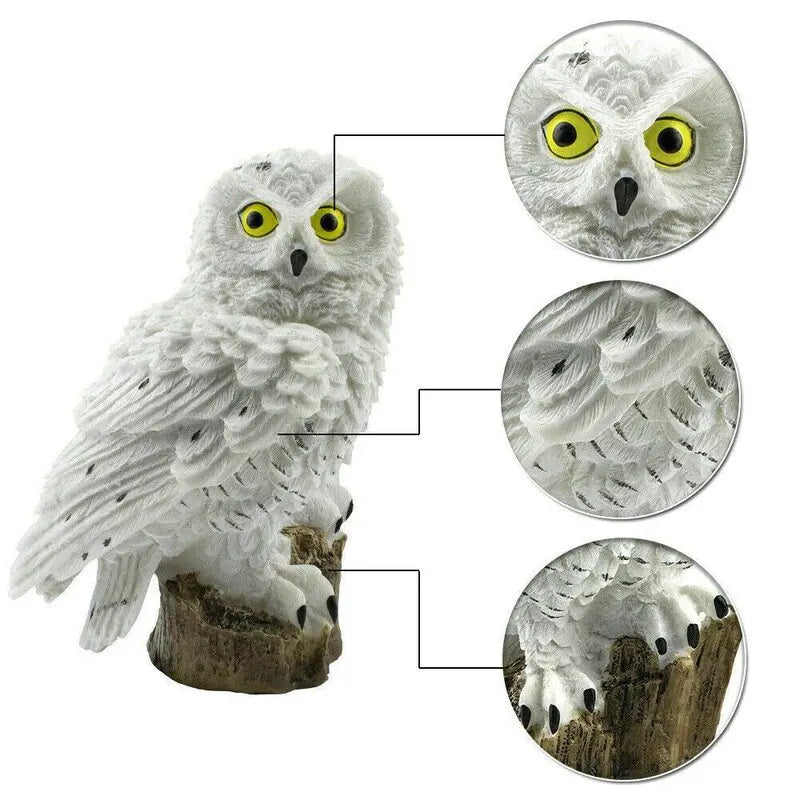 Solar Owl Statue Lights Solus™