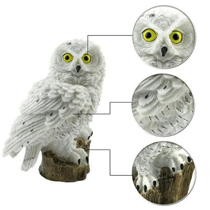 Solar Owl Statue Lights Solus™